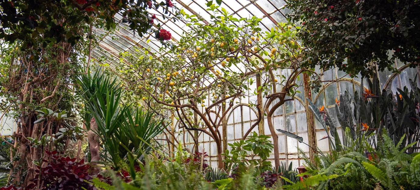 Ticketing system for botanical gardens